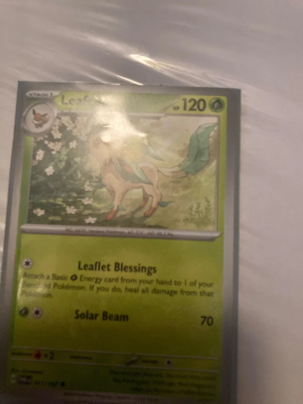 Pokemon Leafeon Green Trading Card and sleeve